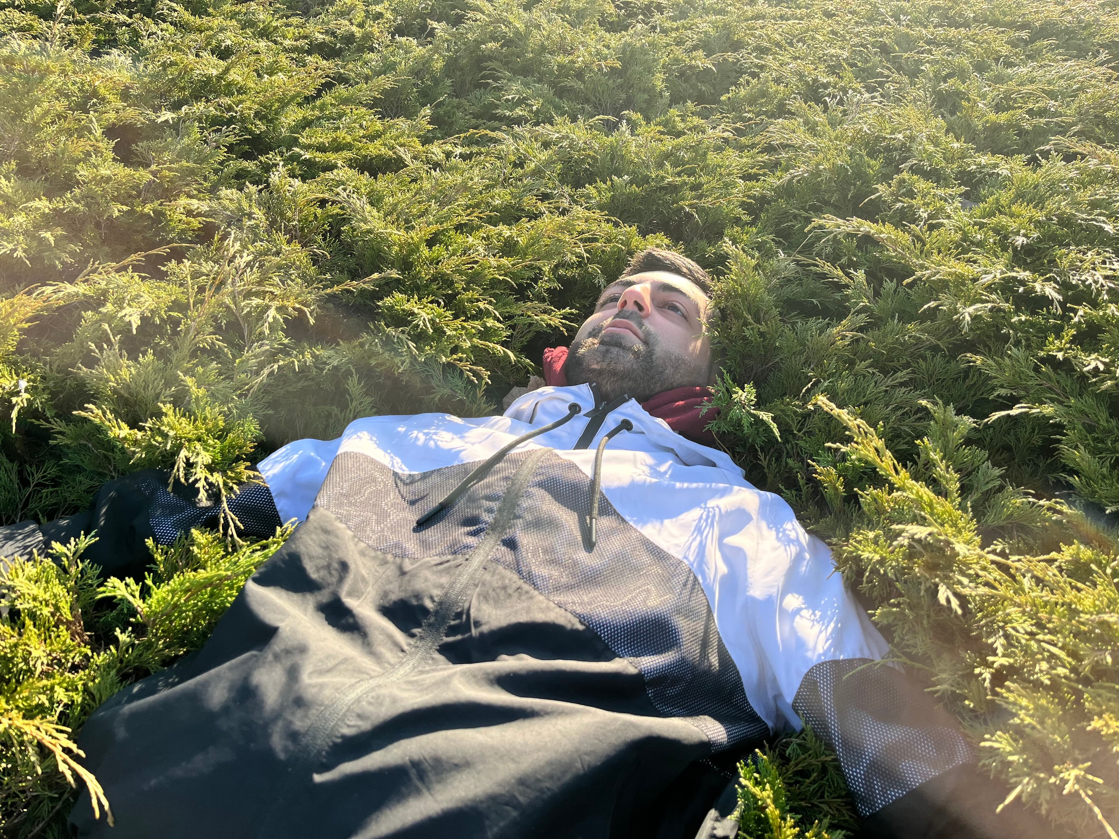 The new ancient ones